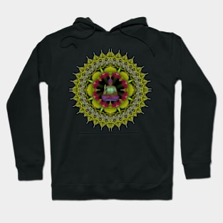 Mandala Magic- Daily Focus 3.31.2016 A2 Buddha Hoodie